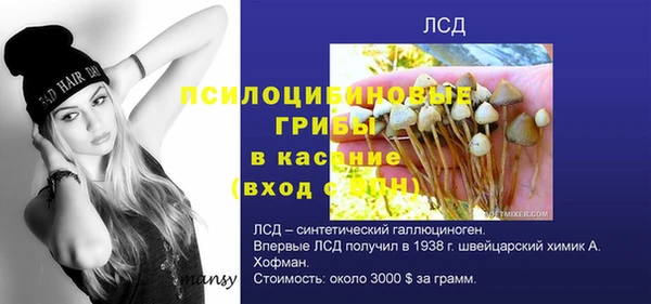 2c-b Абинск