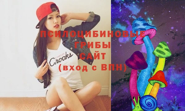 ПСИЛОЦИБИНОВЫЕ ГРИБЫ Алексеевка