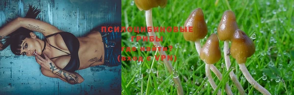 ПСИЛОЦИБИНОВЫЕ ГРИБЫ Алексеевка