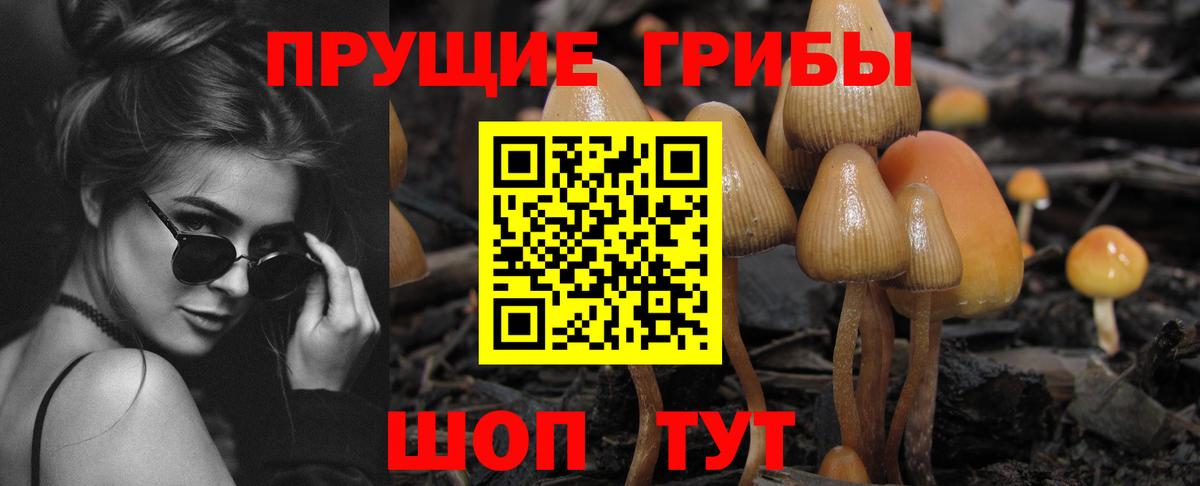 Псилоцибиновые грибы прущие грибы  Вход с VPN  Учалы 